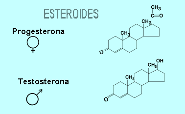 Grupos funcionales de los esteroides